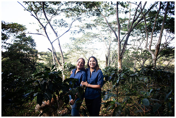 Coffee farmers in Honduras
